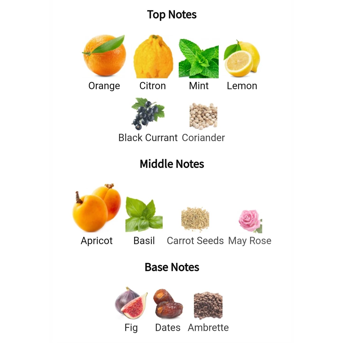 ScentHub Pacific- 100ml