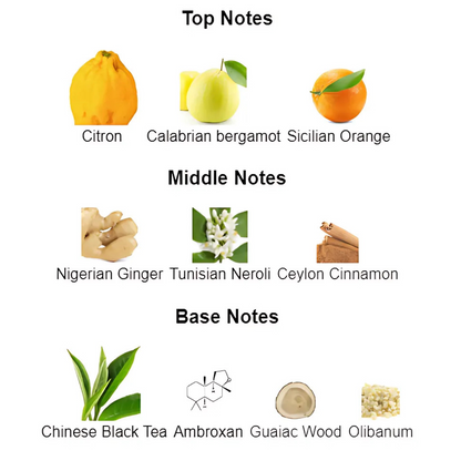 ScentHub Fresh - 100ml